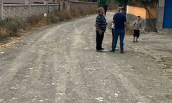 Köylerine yol istiyorlar