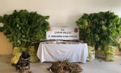 Jandarma uyuşturucu  tacirlerine geçit vermedi