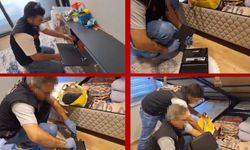Bankacı kılıklı dolandırıcılara dev operasyon: 53 tutuklama