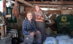 Ayılar köylünün kabusu oldu: Düzenekle ayı kovalıyorlar