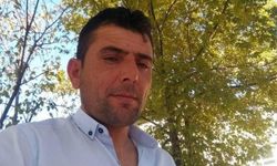 Üzerine ağaç devrilen genç, hayatını kaybetti