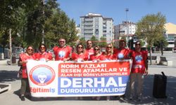 Demirel: “Norm fazlası  atamalar durdurulsun”