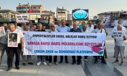 “Barış için adalet  ve demokrasi şart”