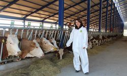 Hayvancılık sektörüne 43  milyon avroluk hibe desteği