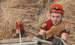 Kızılırmak’a düşen kedi kurtarıldı