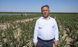 Don zararı elma rekoltesini  yüzde 95 oranında düşürdü