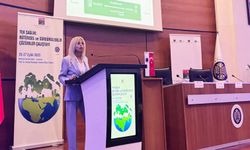 Prof. Dr. Yılmazel: “İklim değişikliği, kronik  hastalıklarla iç içe geçmiş durumda”