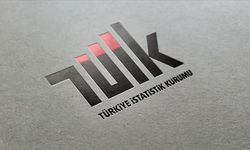 Hizmet üretim endeksi  yıllık yüzde 2,5 arttı