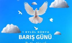 Dünya Barış Günü’nde Çorum’da  basın açıklaması yapılacak