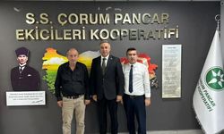 Milletvekili Tahtasız’dan Ahmet Pehlivan’a kutlama