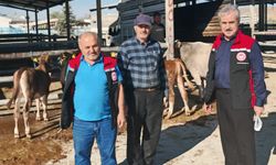 Sungurlu Hayvan Pazarı da hizmette