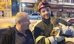 Kızılırmak’a düşen kedi kurtarıldı