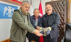 Yaralı atmaca, İsbir’in  duyarlılığıyla kurtarıldı