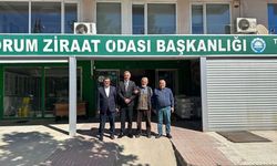 “Çiftçi dert biçiyor”