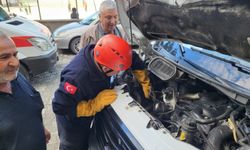 Minibüsün motoruna giren kedi  itfaiye ekiplerince kurtarıldı