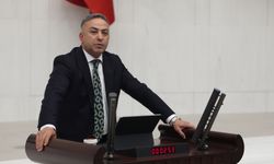 Tahtasız: “Hayvancılıkta tehlike çanları çalıyor”