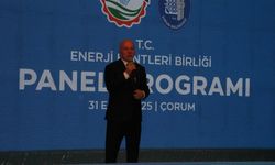 Sekmen: “Enerjiye 60 milyar dolar  harcıyoruz, çözüm güneş ve rüzgârda”