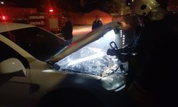 Park halindeki cipi küle  dönmekten itfaiye kurtardı