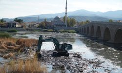 Kızılırmak'ta temizlik  çalışması başladı