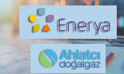 Ahlatcı Doğalgaz ve Enerya,  varlık büyümesinde en önde