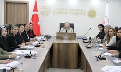 Kadının Güçlenmesi İl  Eylem Planı hazırlanıyor