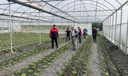 Kargı'da tarımsal üretim  alanları incelendi