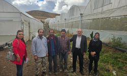 Hibeli sera kullanan  çiftçilerle buluşma