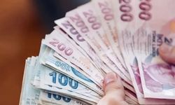 Aman dikkat bunu yapan yandı! 206 bin kişinin emekliliği iptal edildi…