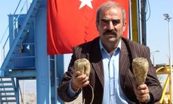 Pancar alım fiyatı arttı