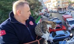 Çatıda mahsur kalan kedi  itfaiye ekiplerince kurtarıldı
