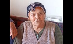 Elif Şahan hayatını kaybetti