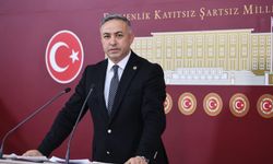 Boğazkale’ye doktor ayıbı