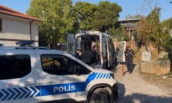Kestane kavgası: 3 kişi vuruldu
