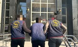Hırsızlık, yağma, dolandırıcılık! Jandarma operasyonlarında yakalanan 52 kişi tutuklandı