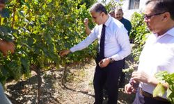 Evliya Çelebi'nin Seyahatnamesinde adı geçiyordu! Çorum'un bir ürünü daha tescillendi