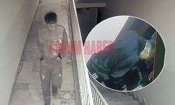 Apartman sakinlerini bıktırdı: Ayakkabı hırsızı kamerada