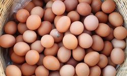 Yumurta fiyatı aldı başını gidiyor