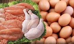 5 kalem tavuk eti ürünleri ve tavuk yumurtası mal alımı yapılacaktır
