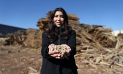 Çorum'da kadın girişimcinin kurduğu pelet fabrikası ahşap atıklarını ekonomiye kazandırıyor