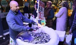 Çorum'da hamsinin kilosu 40 liraya düştü