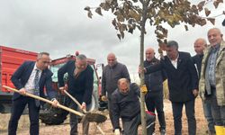 Eskiyapar’da fidan diktiler