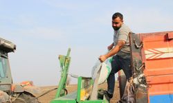Umutlar 2026'ya kaldı! Çorum'da çiftçilerin 'güz ekimi' başladı