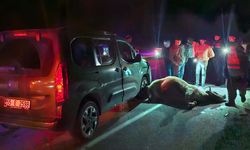 Yola çıkan dana kazaya neden oldu: 3 yaralı