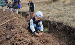 8 bin fidan toprakla buluştu! Vali Çalgan: “Çorum’un %38’i orman”