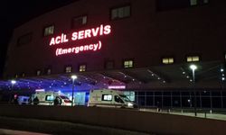 Keçinin saldırısına uğrayan kadın öldü