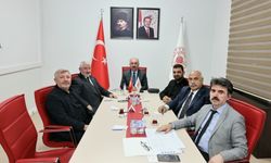 Sahipsiz hayvanların yaşam koşulları değerlendirildi