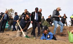 Şehitler adına fidan dikildi