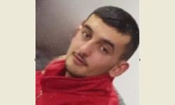 Ege yaşam savaşını kaybetti