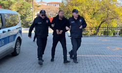 Trafik magandasına adli kontrol