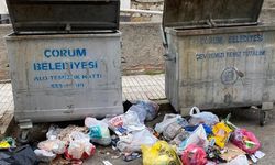 Belediye affetmedi: 'Bu görüntüler Çorum’a yakışmıyor...'